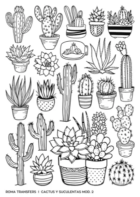 Cactus y suculentas mod. 2