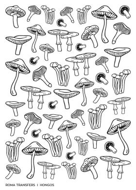 Hongos