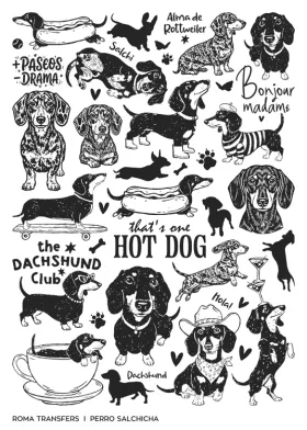 Perro salchicha