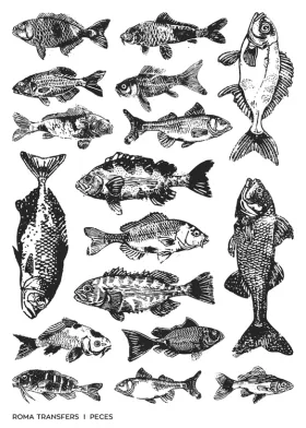 Peces