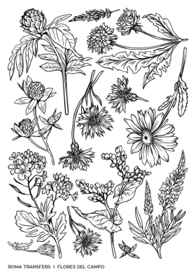 Flores del campo