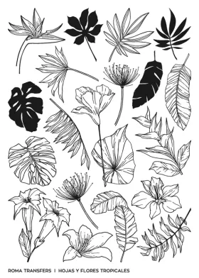 Hojas y flores tropicales